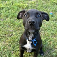 Photo of Coal