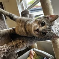 Photo of Twinkle