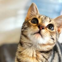 Photo of Bug