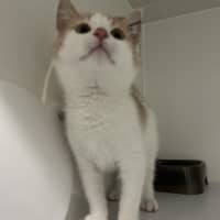 Photo of Hobbs
