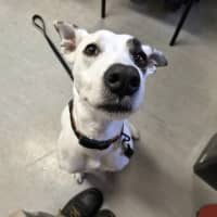 Photo of Mabel