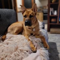 Photo of Gracie
