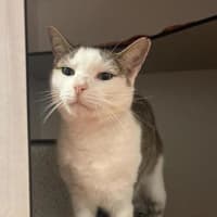 Photo of Mr Man