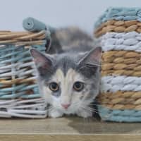Photo of Audrey