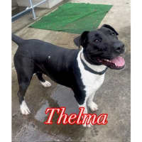 Photo of Thelma