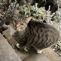 Photo of Bella 🌹🌹🌹