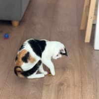 Photo of Sophia
