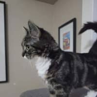 Photo of Tuxy