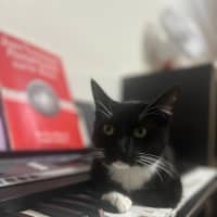 Photo of Bruce   Tuxedo