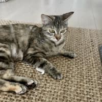 Photo of Mia 