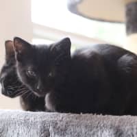 Photo of ❤️ Ravi ❤️