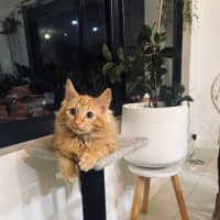 Photo of Leo