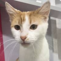 Photo of Aslan And Mr Squiggle