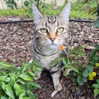 Photo of Luna