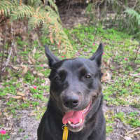 Photo of Sally