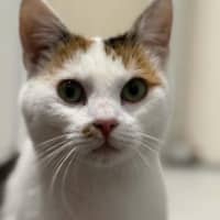 Photo of Seraphina 