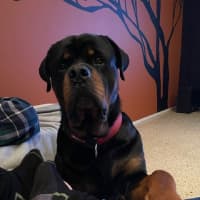 Photo of Stanley