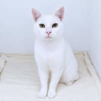 Photo of Mr Snow