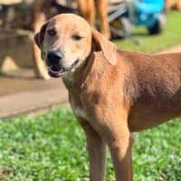 Photo of Archer
