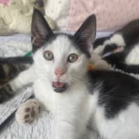 Photo of Zeb Sanderson