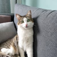 Photo of Feefee