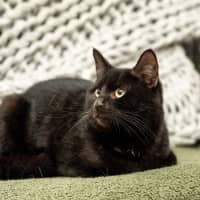 Photo of Freddy Mc Claw
