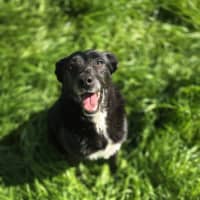 Photo of Matilda