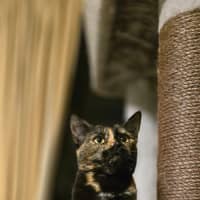 Photo of Hazel