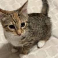Photo of Cleo