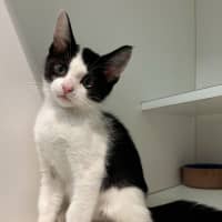 Photo of Lunar And Polar