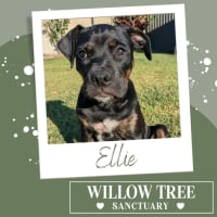 Photo of Ellie