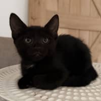Photo of Mrs. Scribbles