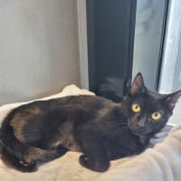 Photo of Mavis