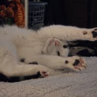 Photo of Quinten