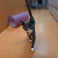 Photo of Cashew