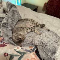 Photo of Arianna Quinnell