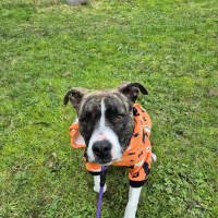 Photo of Cenric Riley