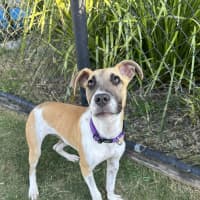 Photo of Elsie