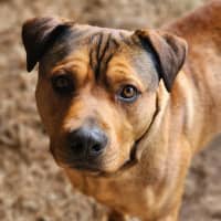 Photo of 👑 King 6259 👑