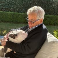 Photo of Kylo   5 Year Old French Bulldog 