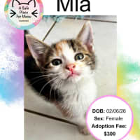 Photo of Mia