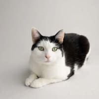 Photo of Winnie