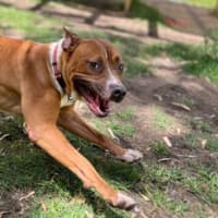 Photo of Zeek