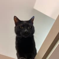 Photo of Mancy