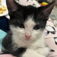 Photo of Maggie