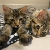 Photo of Marty & Max 