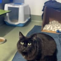 Photo of Jiji