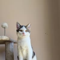 Photo of Sparky
