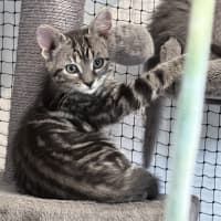 Photo of Zeus
