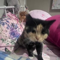 Photo of Elizabeth 